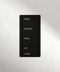 Control remoto inalámbrico Pico de 4 botones.