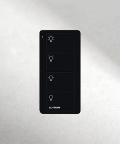 Control inalámbrico Pico 4 botones.