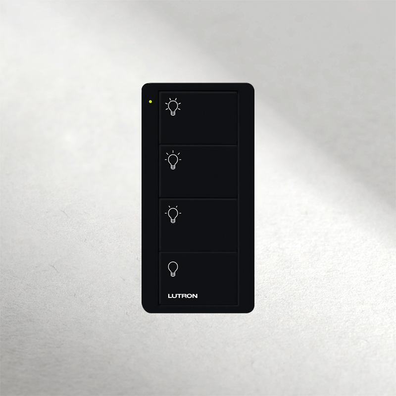 Control inalámbrico Pico 4 botones.