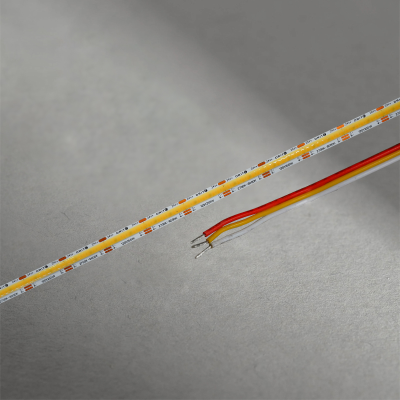 AURORA - CIL00081432020TW 2